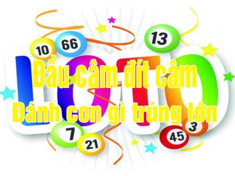 Đánh lô câm thắng lớn với lô câm đầu đít
